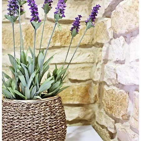 Gasthof Tragurion 3*