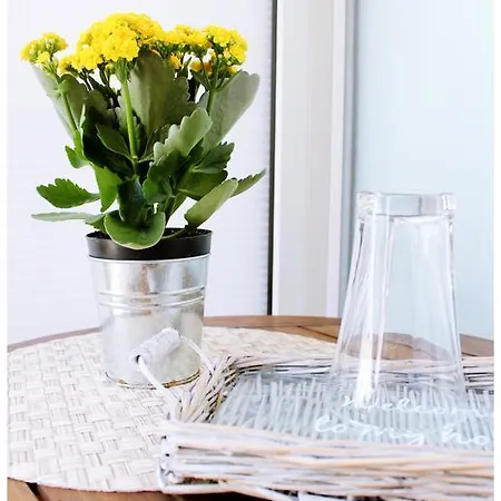 Gasthof Tragurion Trogir